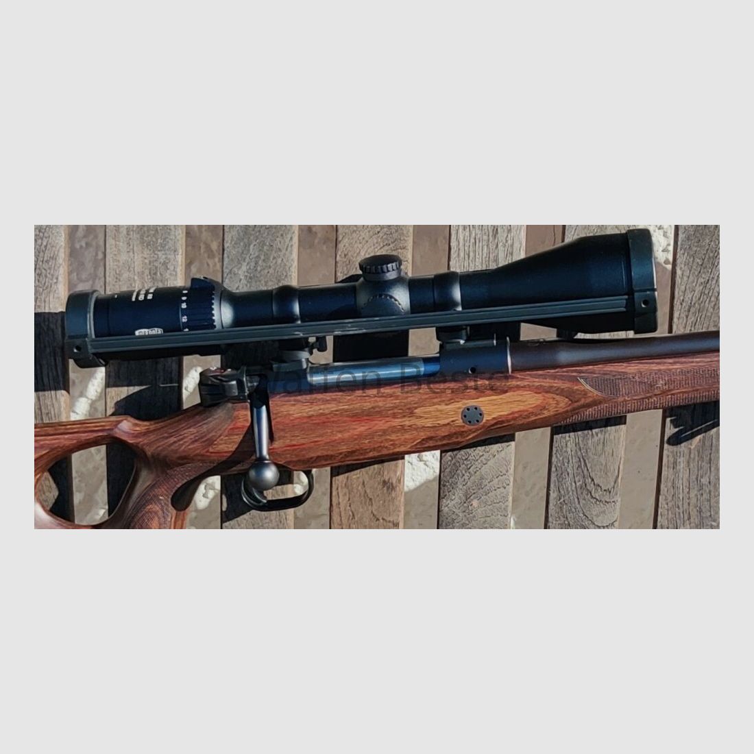 Mauser M12