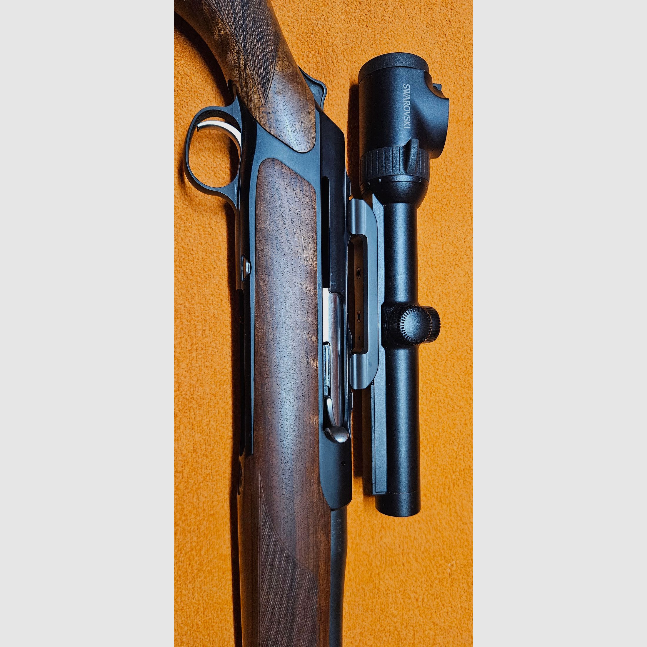 Sauer 303 Classic .30-06 mit Swarovski Z6i 1-6x24 SR & Sauer-Montage