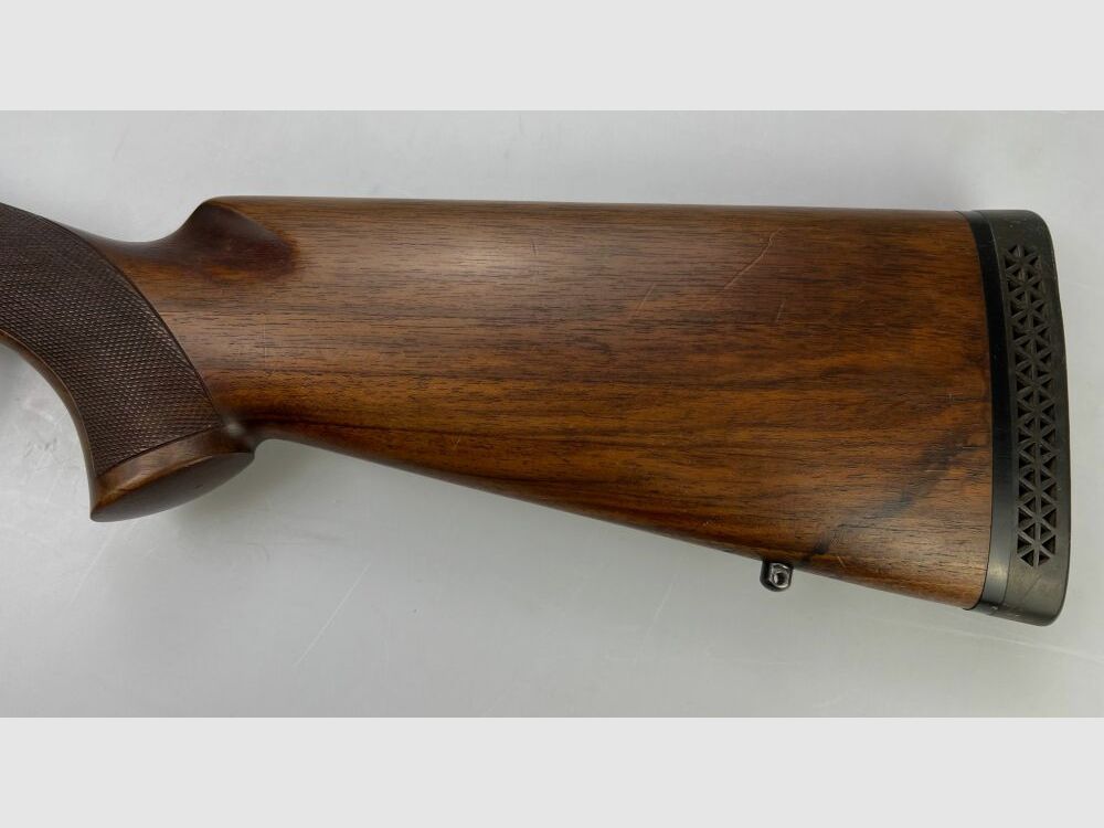 Trampa Rottweil Montreal