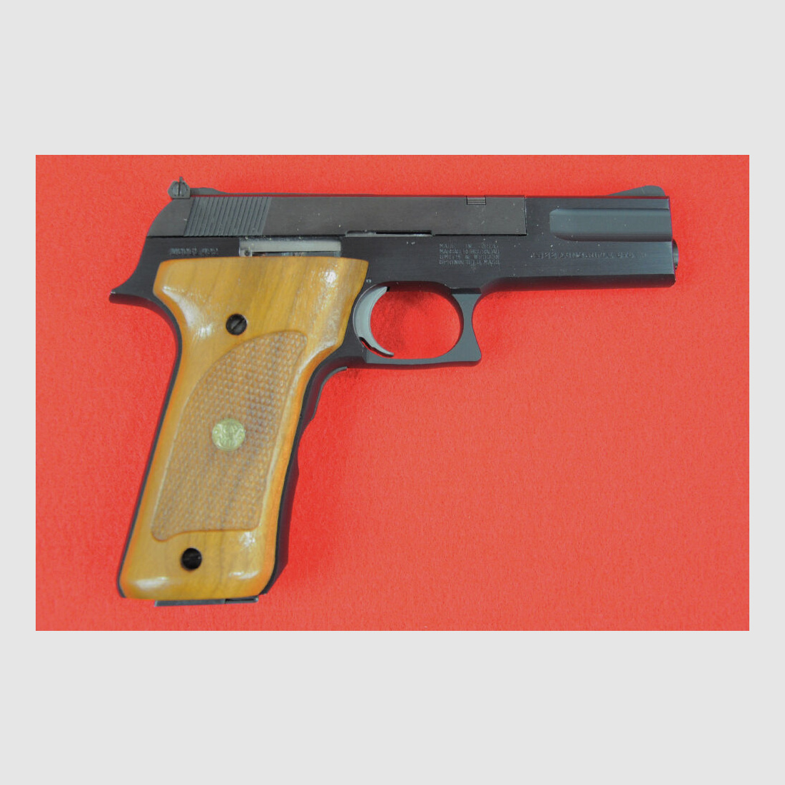 S&W .22lr