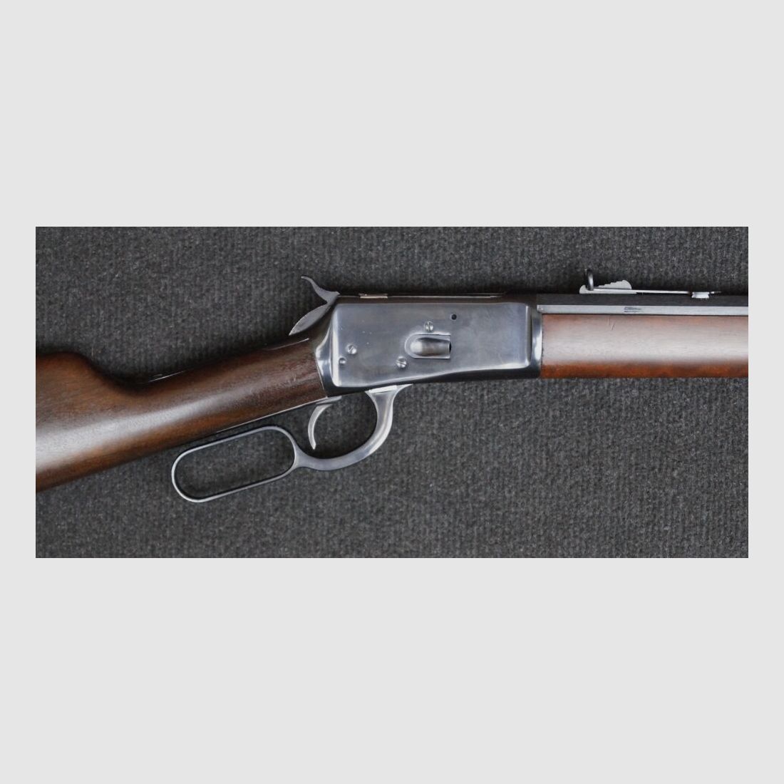 Taurus Rossi 1892