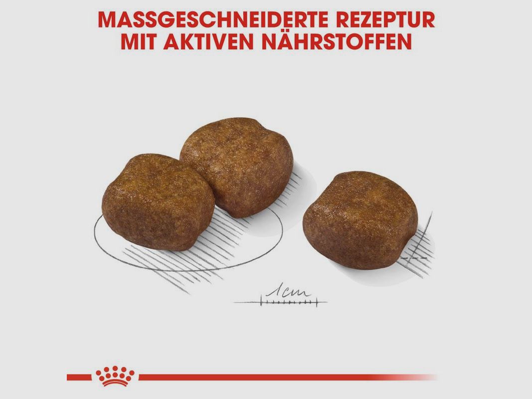 ROYAL CANIN Große Hunde Trockenfutter Dental Care Maxi für empfindliche Zähne 9 Kg
