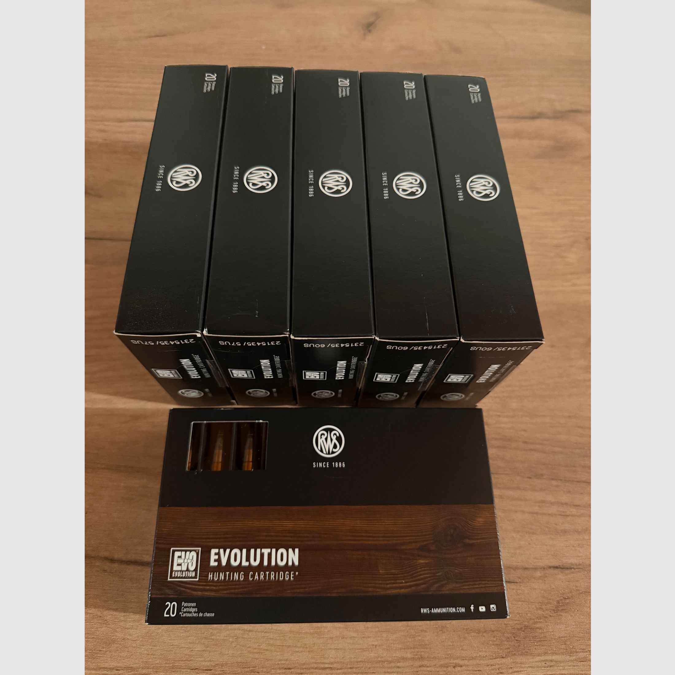 Ammunition RWS EVOLUTION .30-06 11.9g