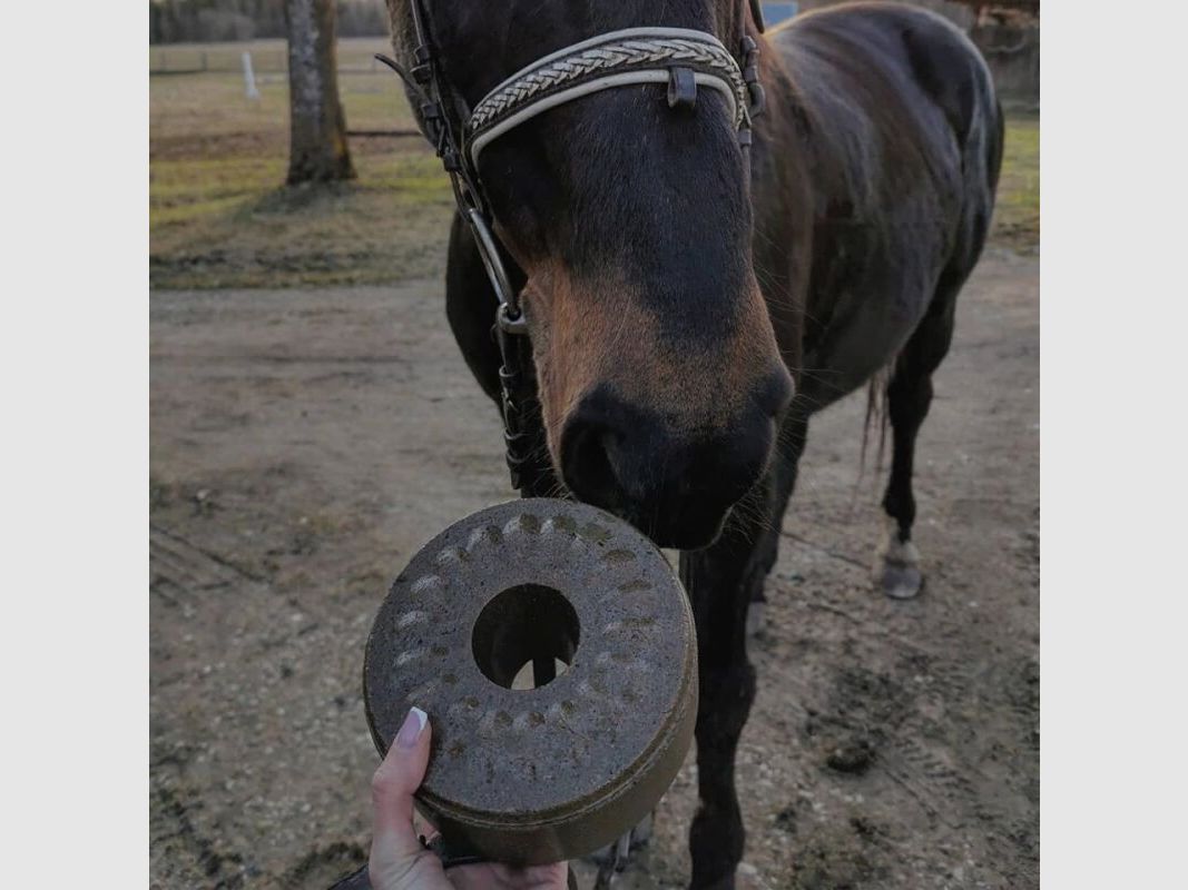 Wildlutscher Leckstein für Pferde und Ponys Minze und Eukalyptus - Atemwege 1,6 kg