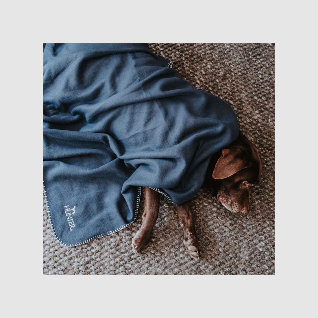 Hunter Hunde Decke Casper