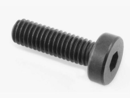 HW 100 Screw 2646