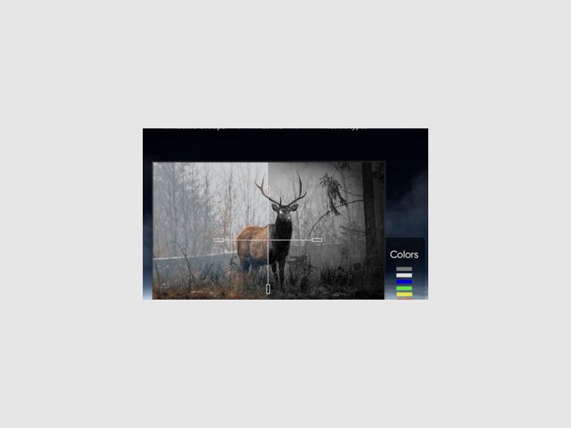 Alpex 4K A50EL | LRF lunette de visée balistique jour/nuit, image 17 sur 18