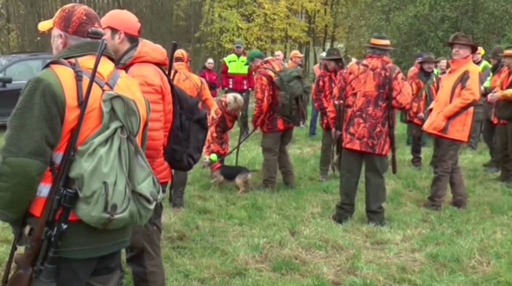 Drückjagd Herbst 2015