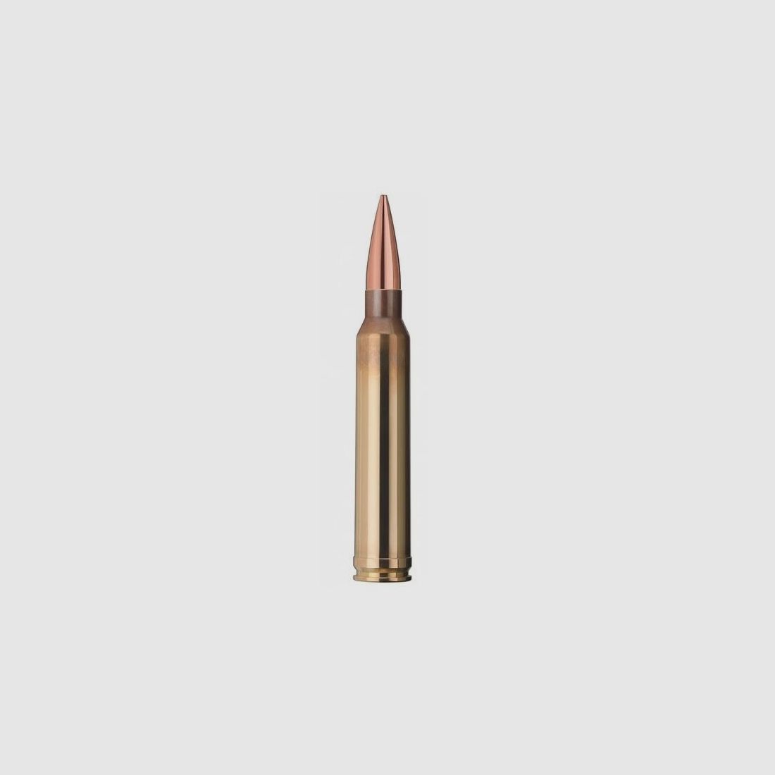 GECO GECO .300 Win. Mag. Target HP 12,3g / 190grs. 50x Patronen im Karton