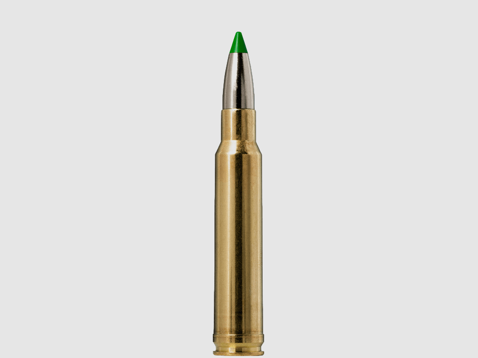 Norma .338 WIN MAG ECOSTRIKE 13 g 200 gr - 20 Stk