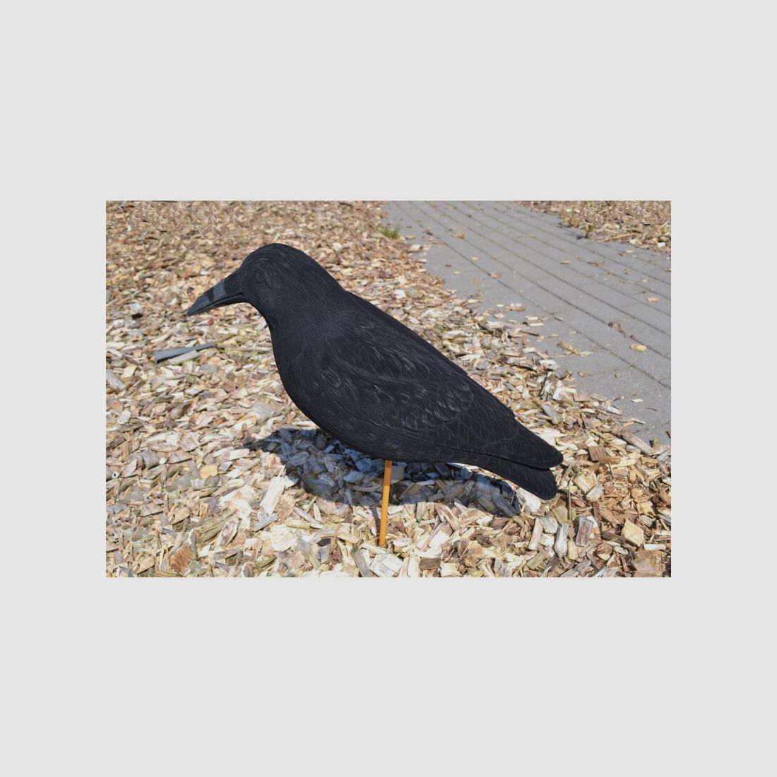 Lockkrähe beflockt Riesenkrähe Magnum 50cm