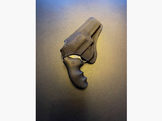 Ruger SP101 .357 Magnum