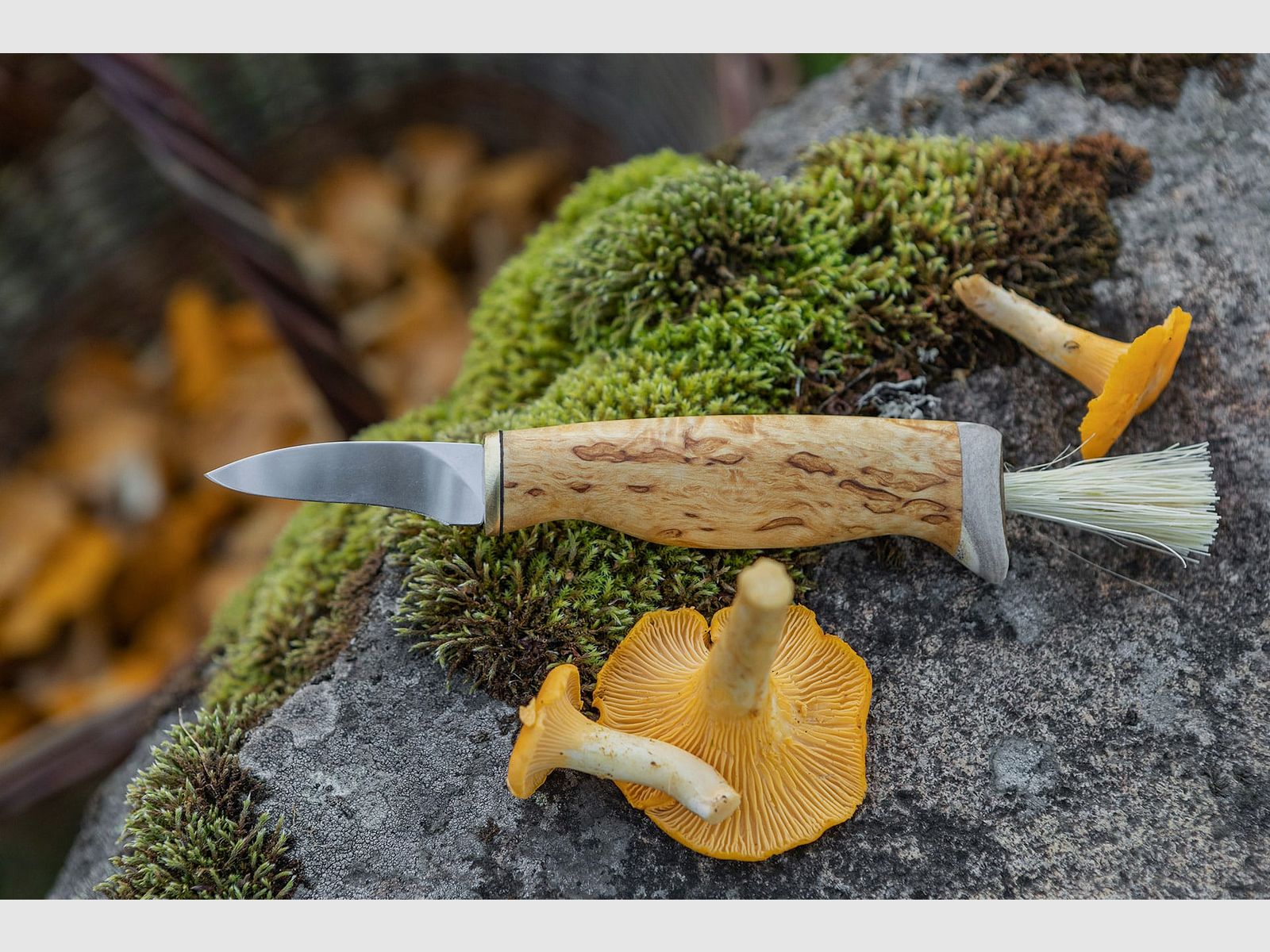 Couteau à champignons, image 1 sur 4