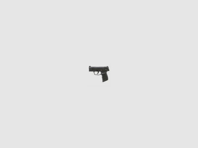 Sig Sauer P365 X MS