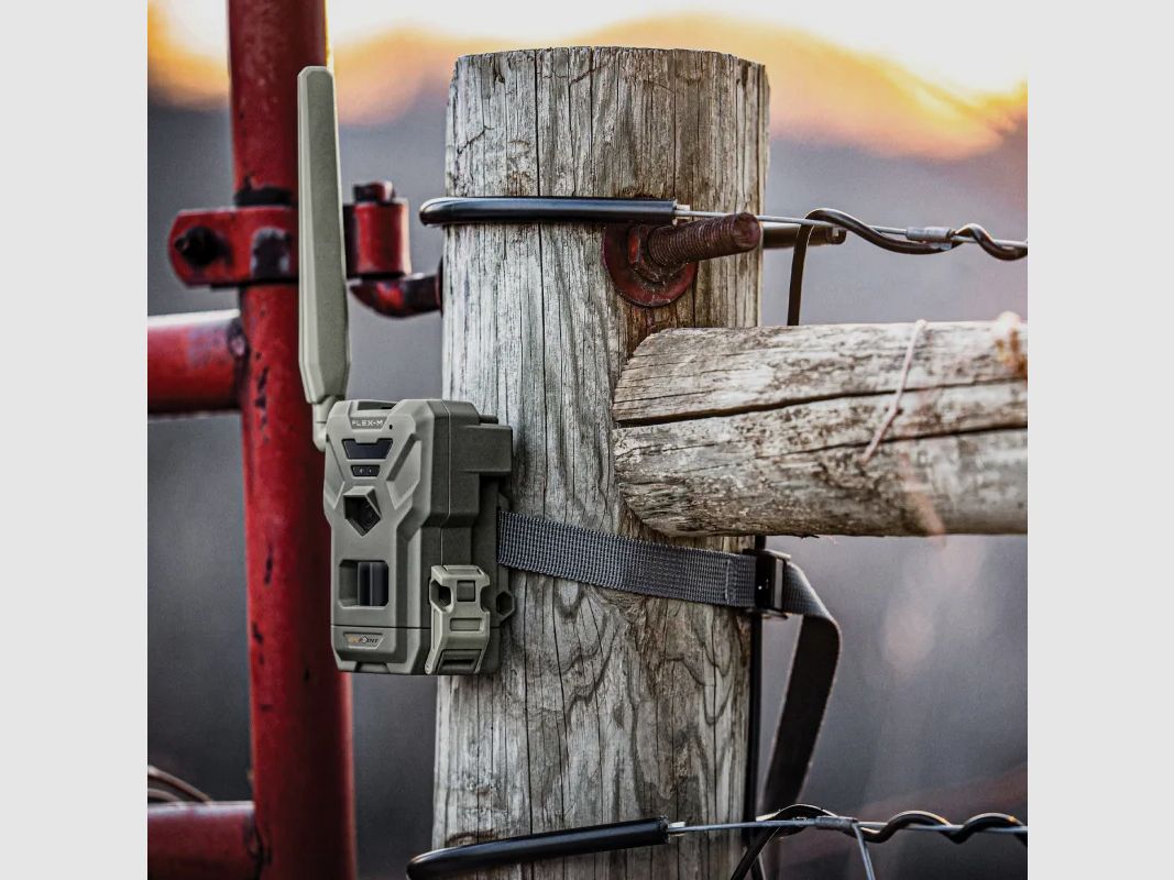 2 caméras Flex-M2 Vision Infrarouge, 28MP, SIM Préactivée, image 3 sur 22