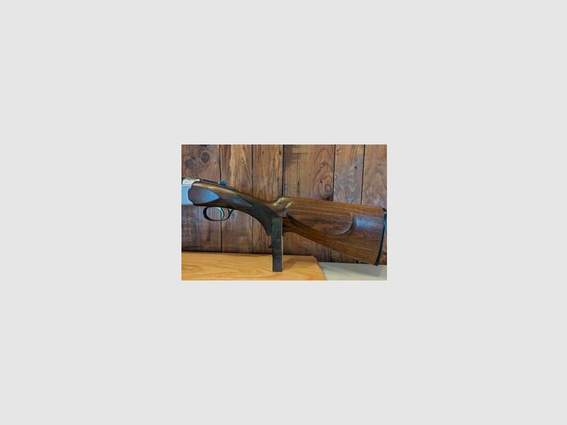 Sauer Beretta Favorit
