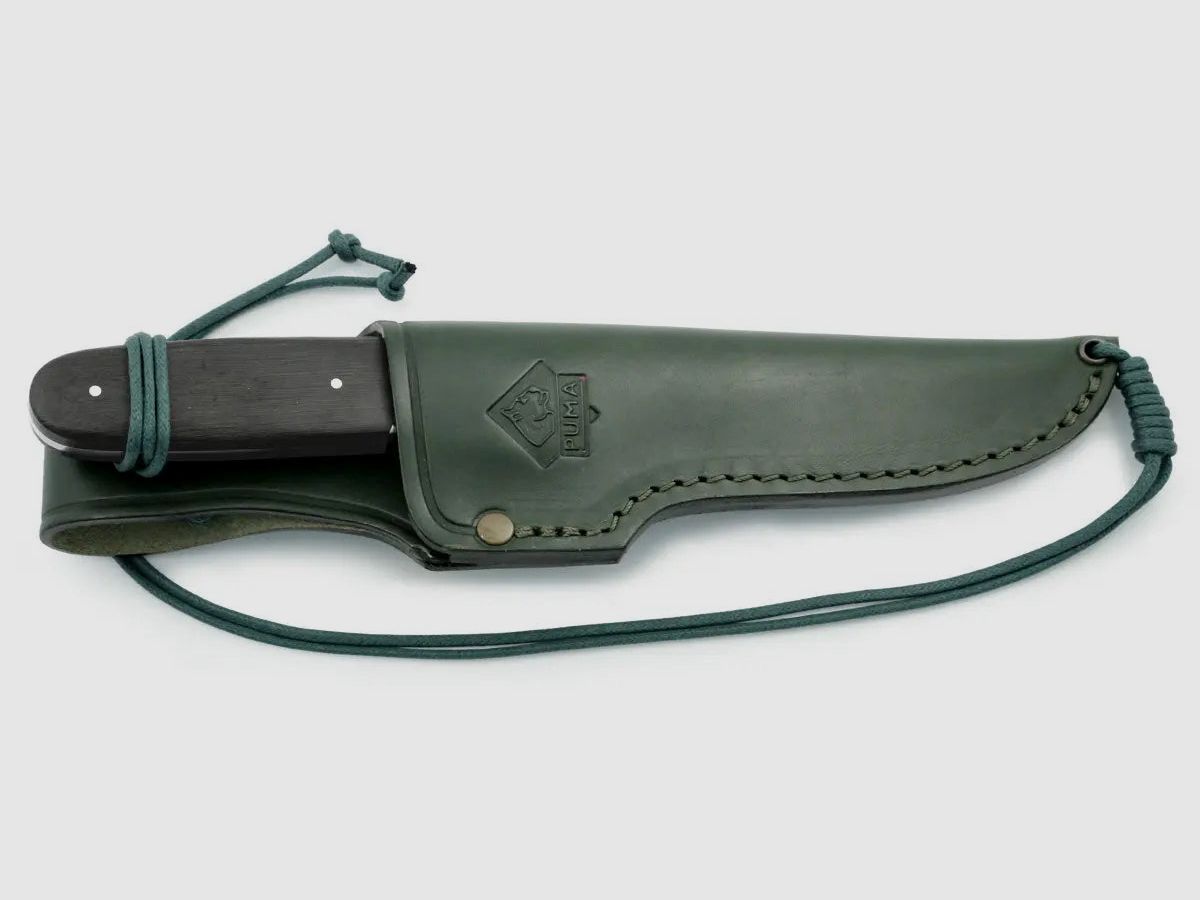 PUMA faun, mooreiche