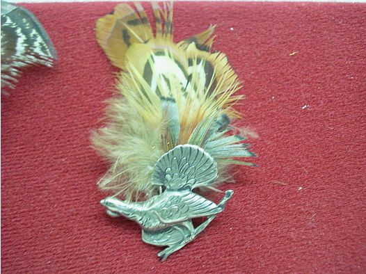 Hat feather hunting - pheasant