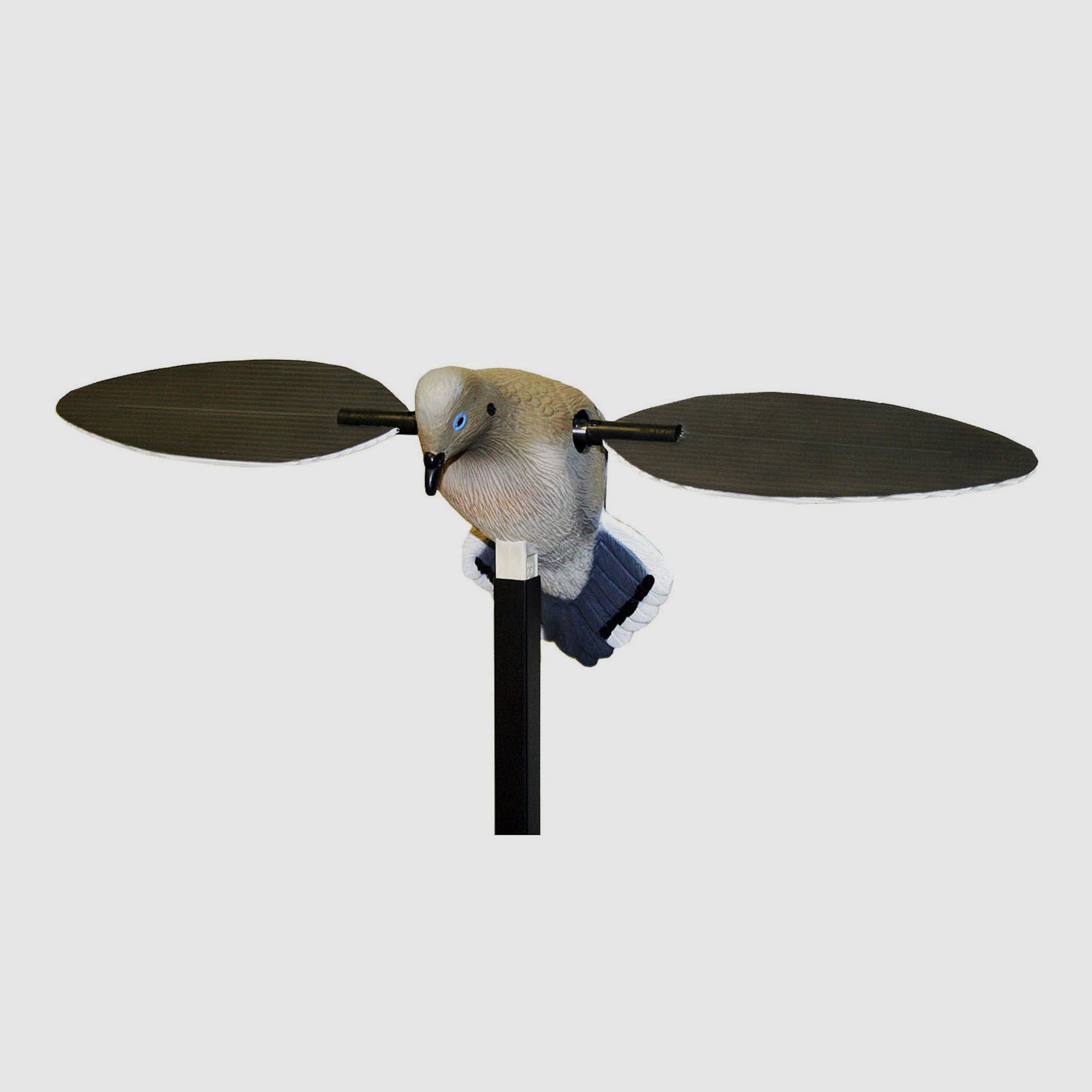 MOJO Voodoo Dove -Taube