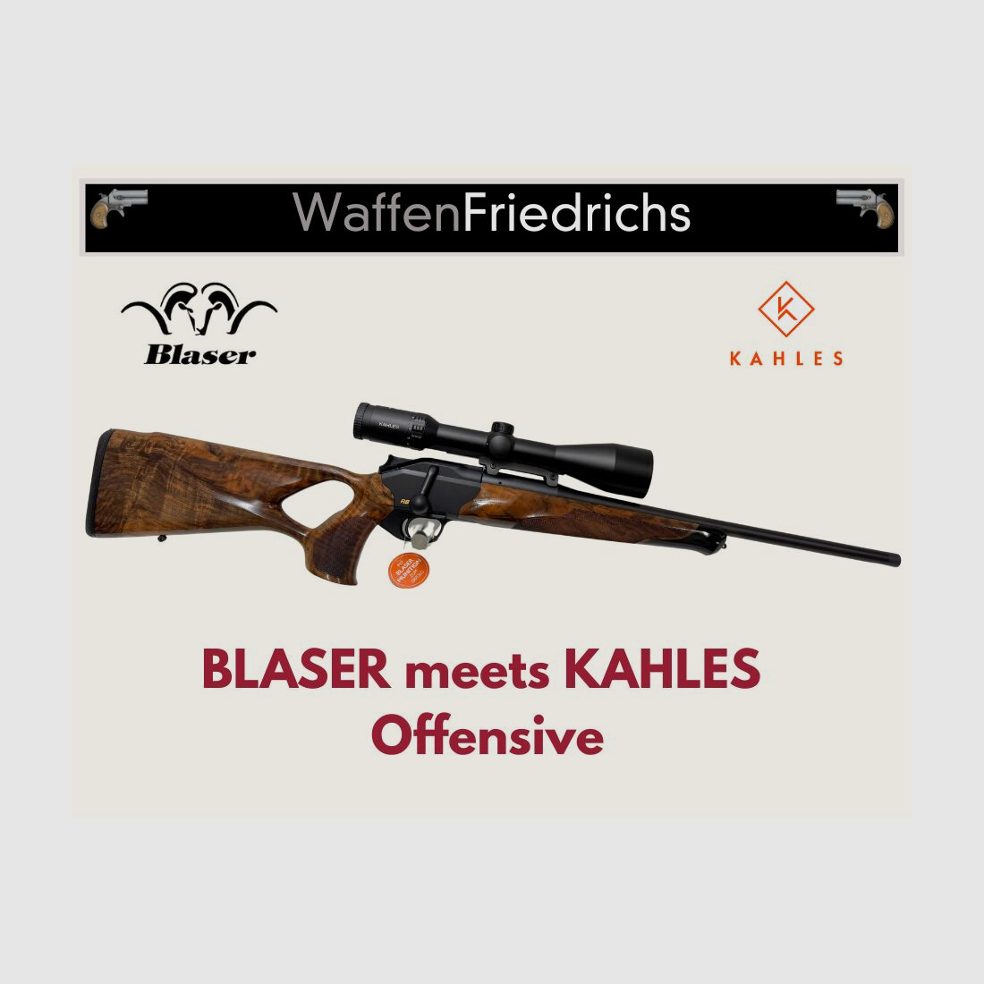 Blaser R8 Success HK4 Komplettset - Waffen Friedrichs