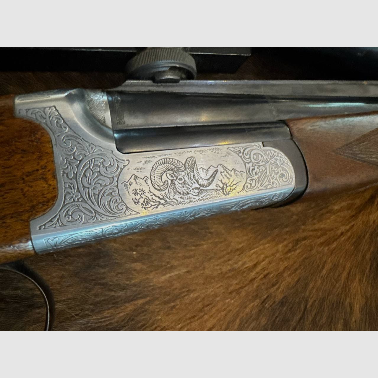 SABATTI SKL 98 DL rifle de un solo tiro de cerrojo calibre 6,5x57R con óptica de mira Docter 2,5-10x48, retícula 4