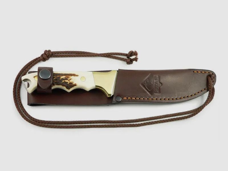 PUMA IP giallo, corno (modello fuori produzione)