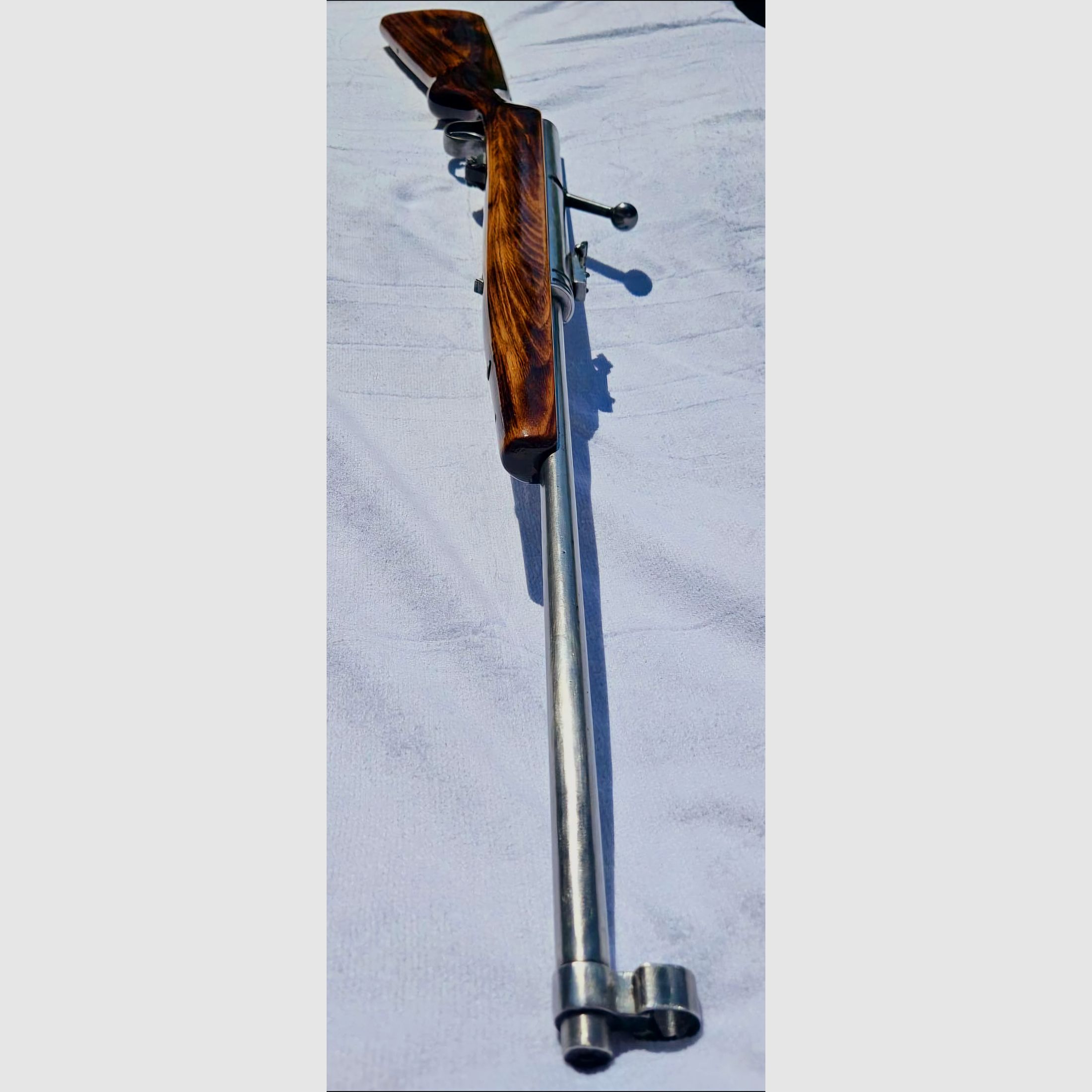 Haene 49a collector's item