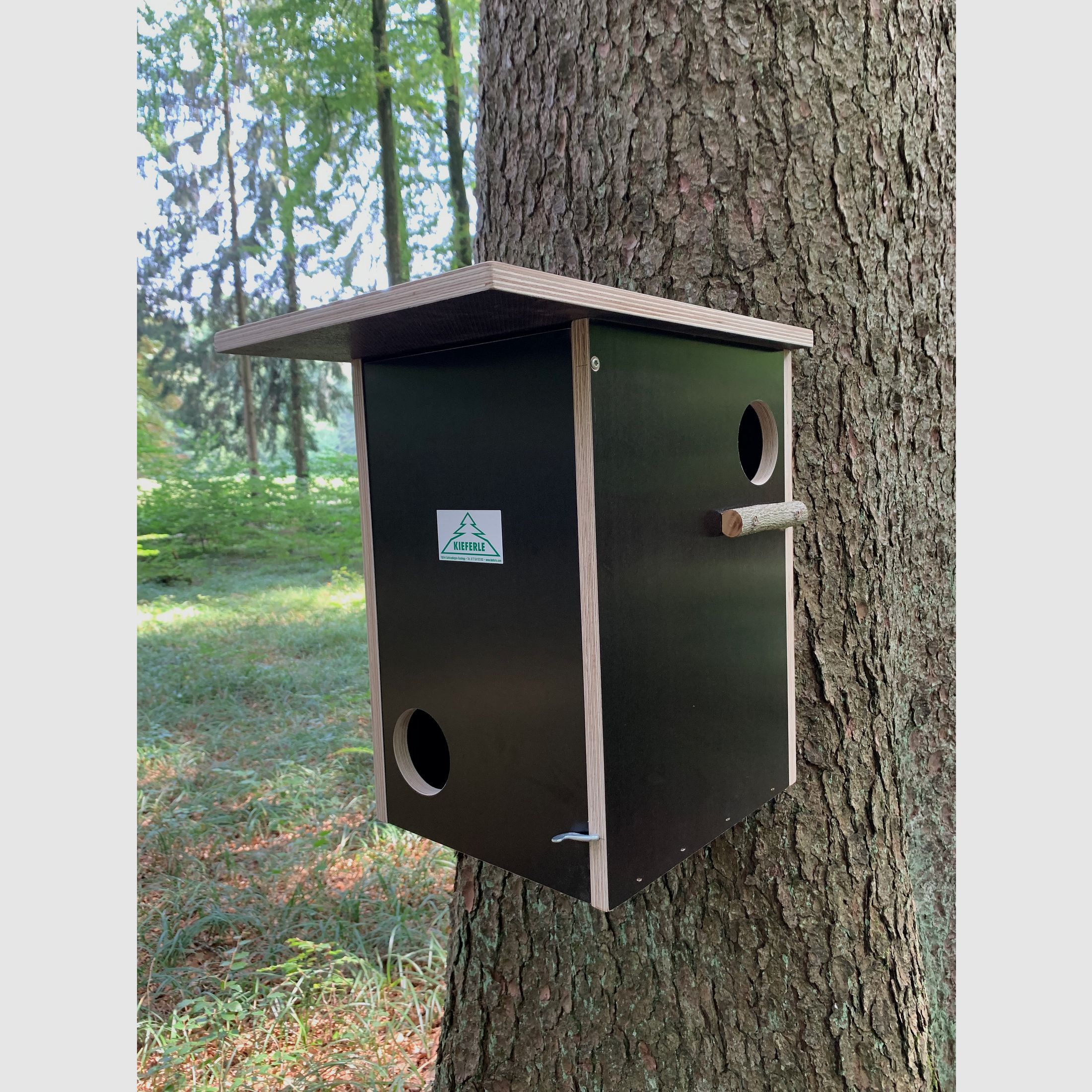 Eichhörnchenkobel