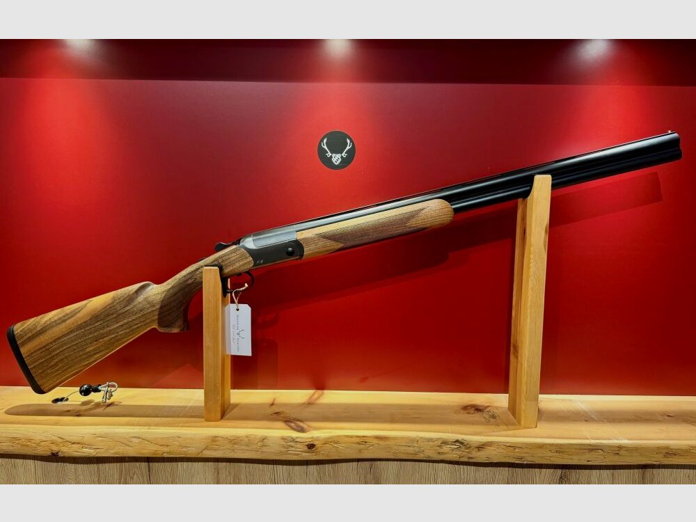 Blaser F16 Game