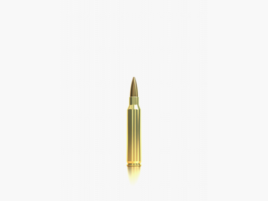 S&B Büchsenmunition Precision Ammo .223 Rem 3,36 g / 52 gr Hollow Point Boat Tail