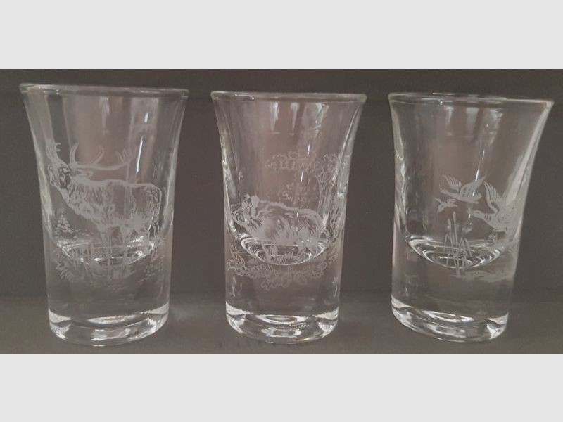 6 borrelglazen met 3 ontwerpen