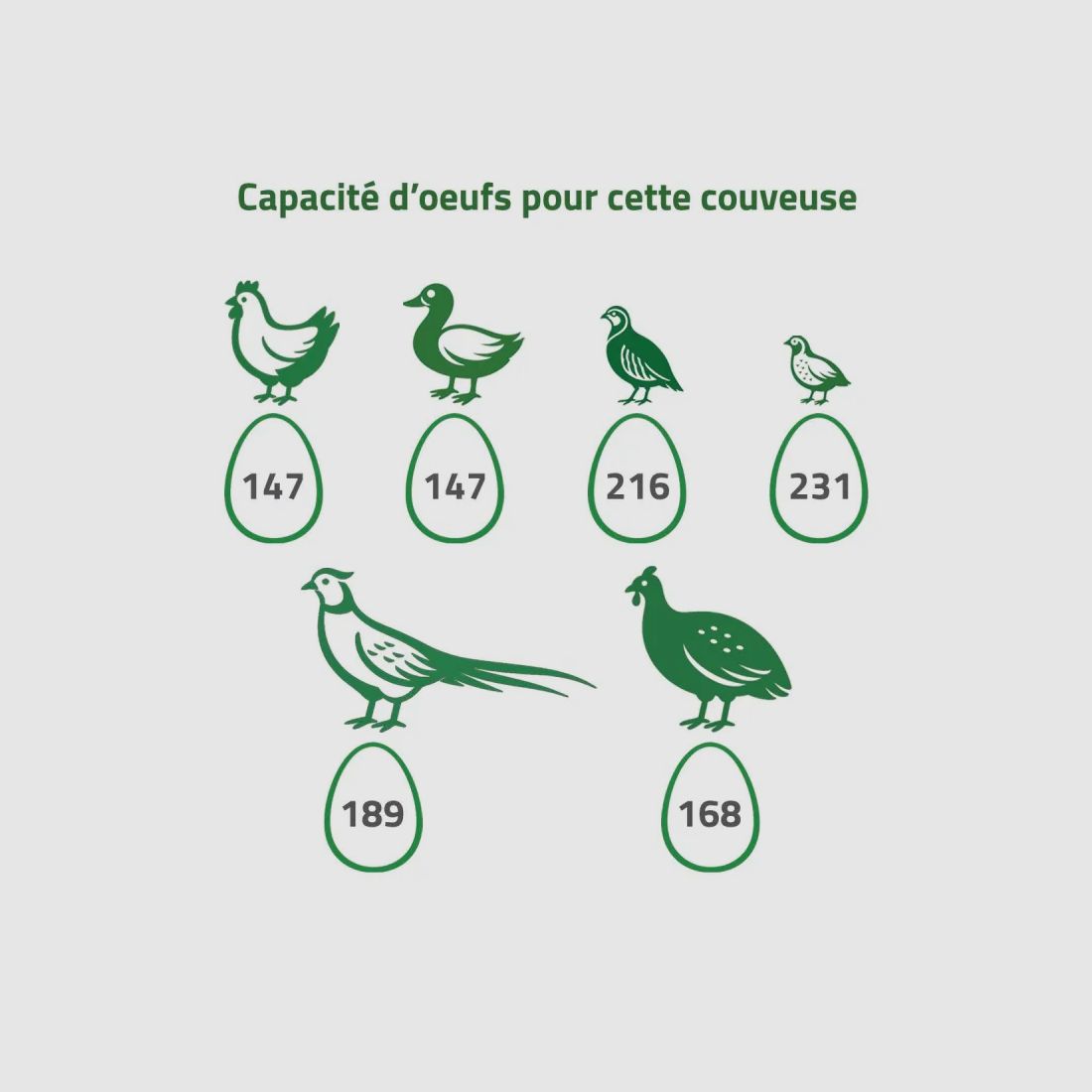 Kit couveuse évolutive Maino 147 œufs – 3 tiroirs, image 9 sur 28