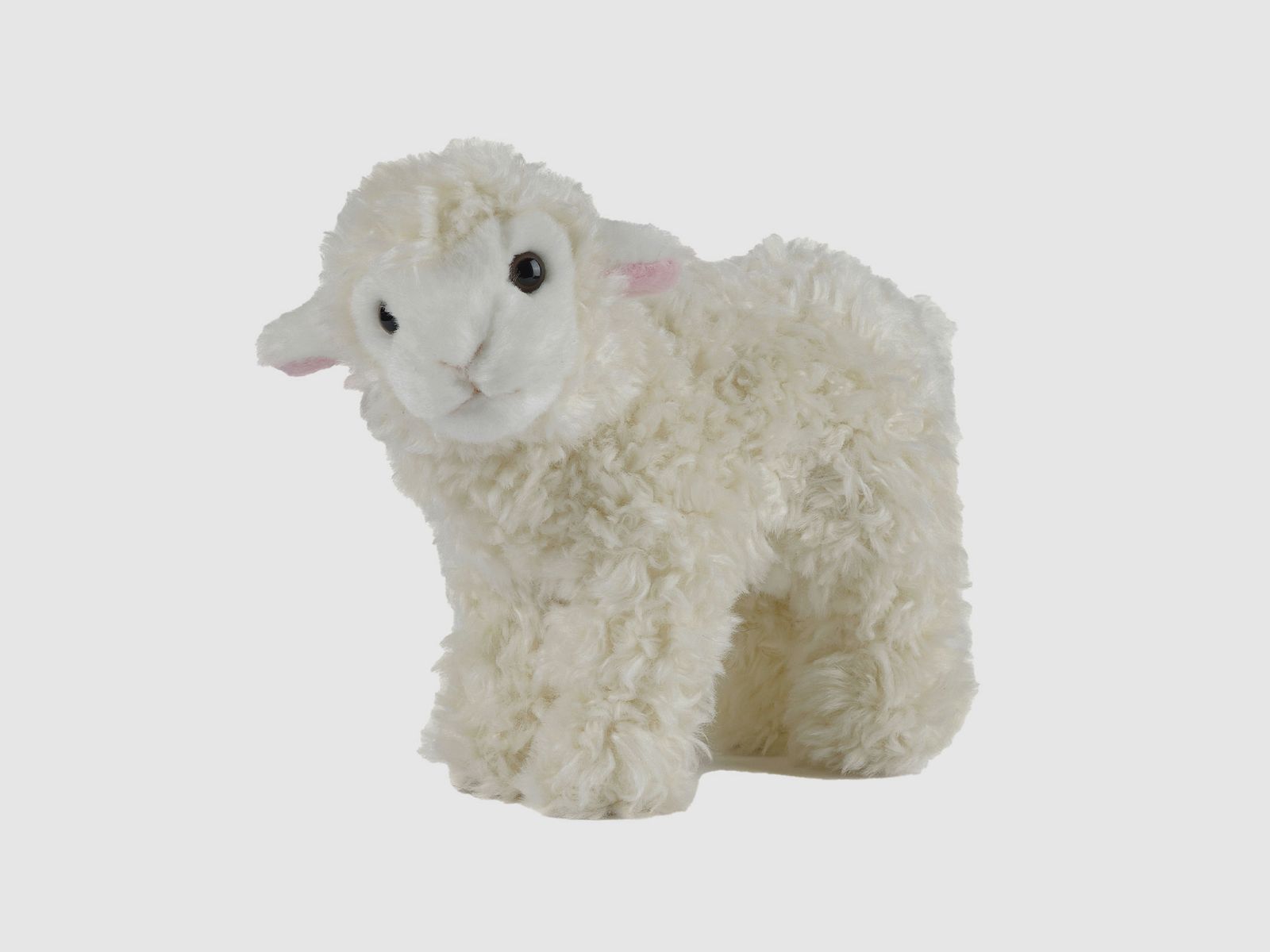 Plüschtier Lamm
