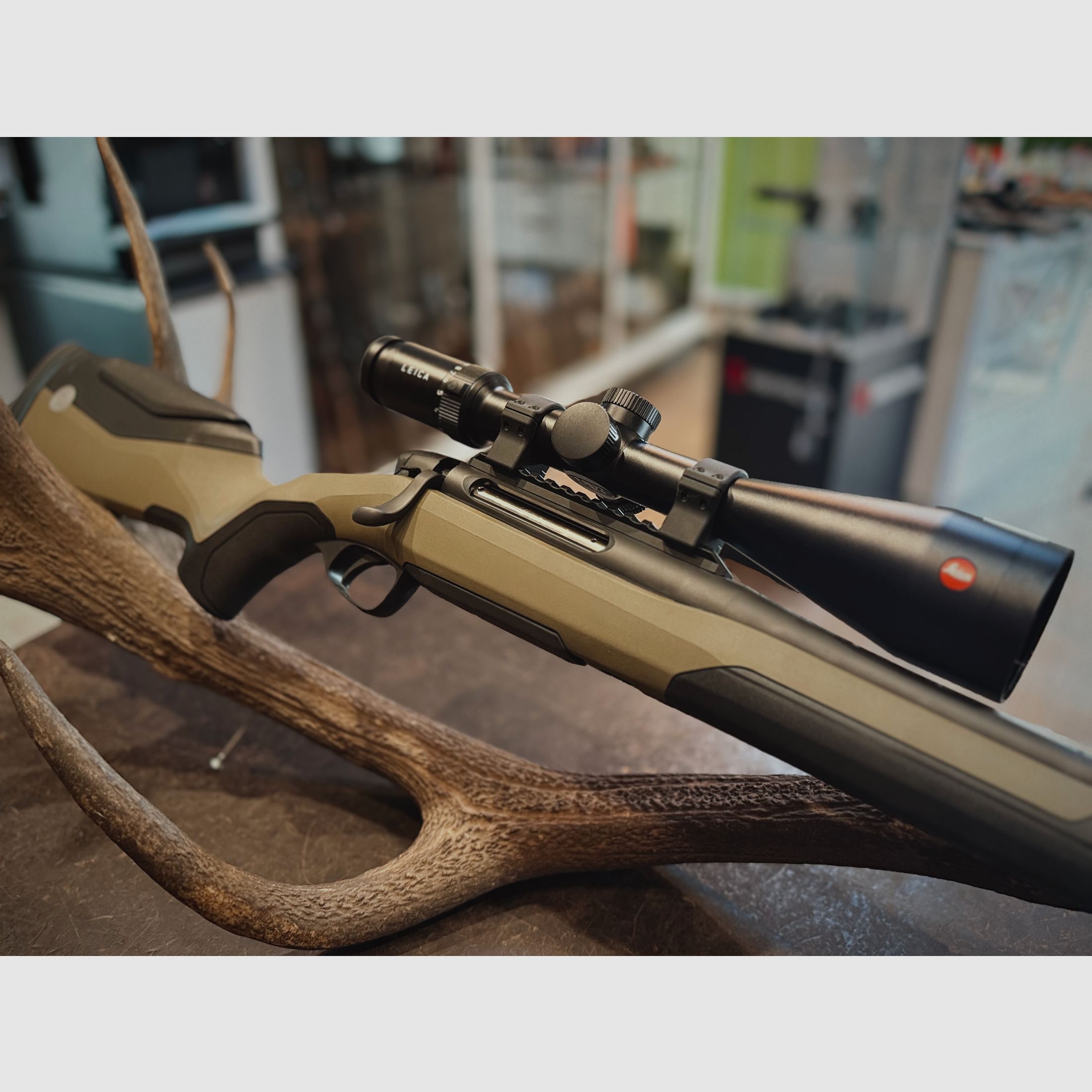 Steyr MS Wild - .308Win - Leica Amplus 2,5-15X56, Bild 7 von 9