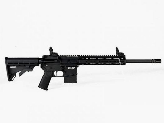 Tippmann Arms M4-22 Pro-L