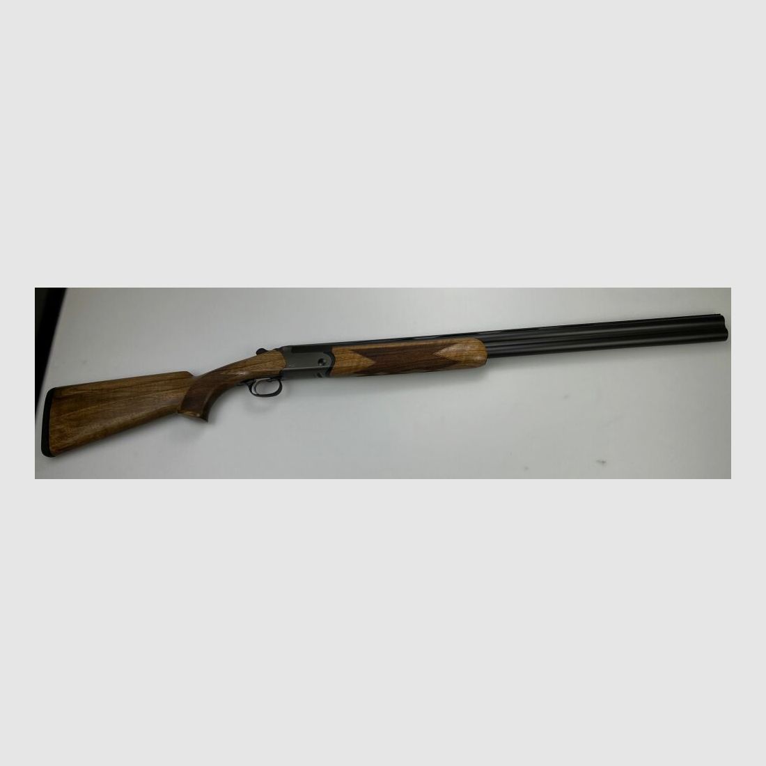 Blaser F16 Game