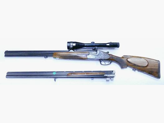 Arma usata Merkel Mod.213E