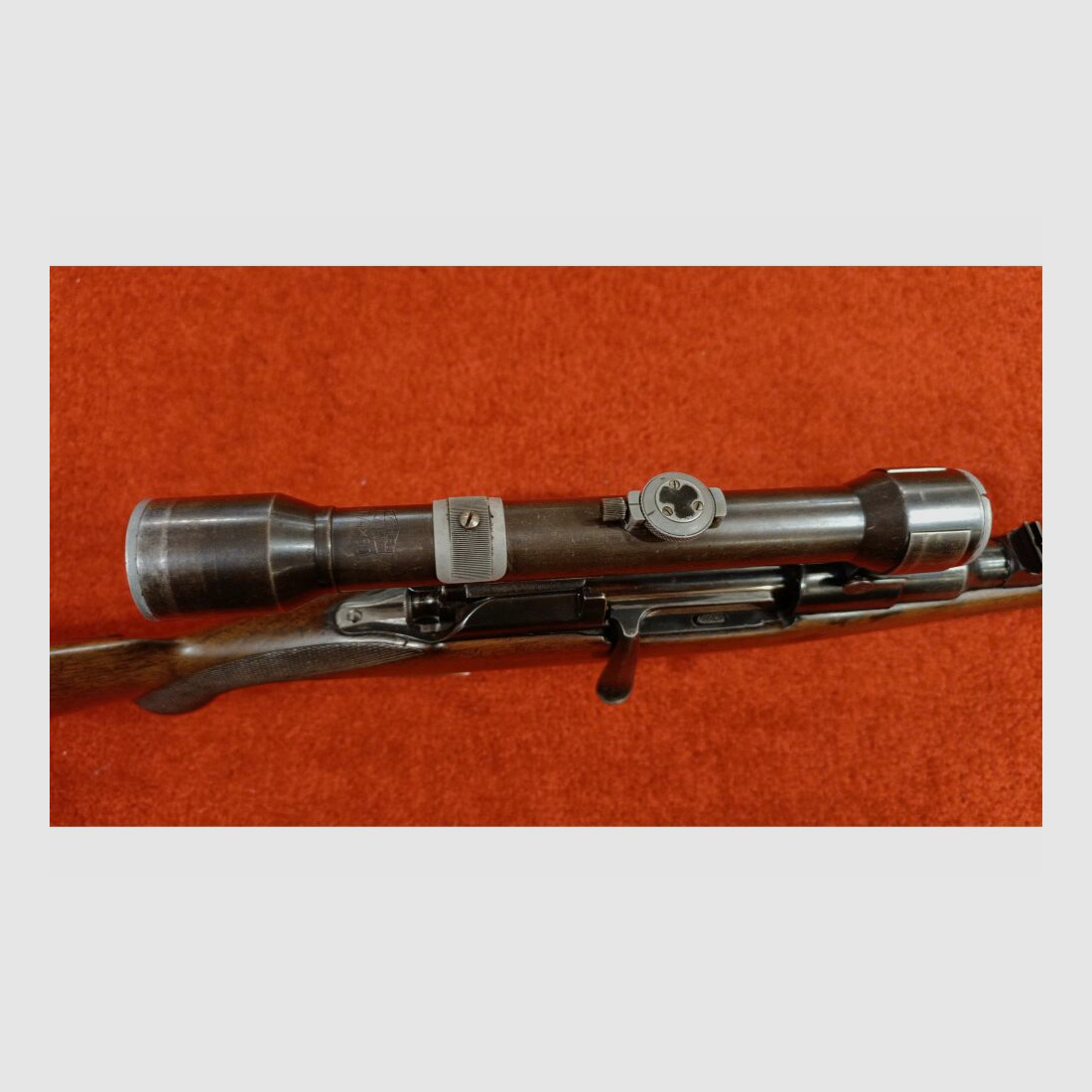 Steyr ohne 7x57