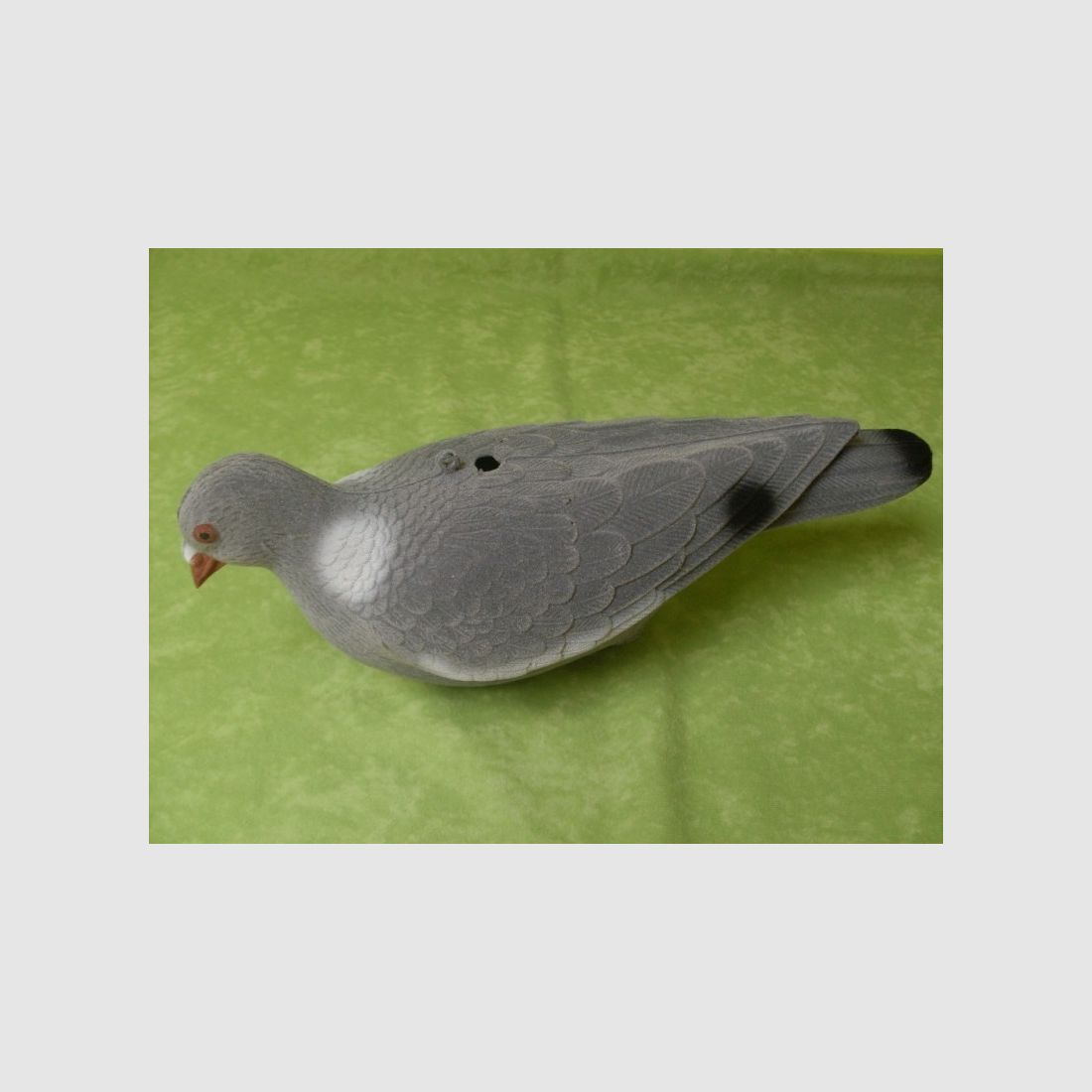 Piccione a corpo intero floccato 33 cm, immagine 3 di 3