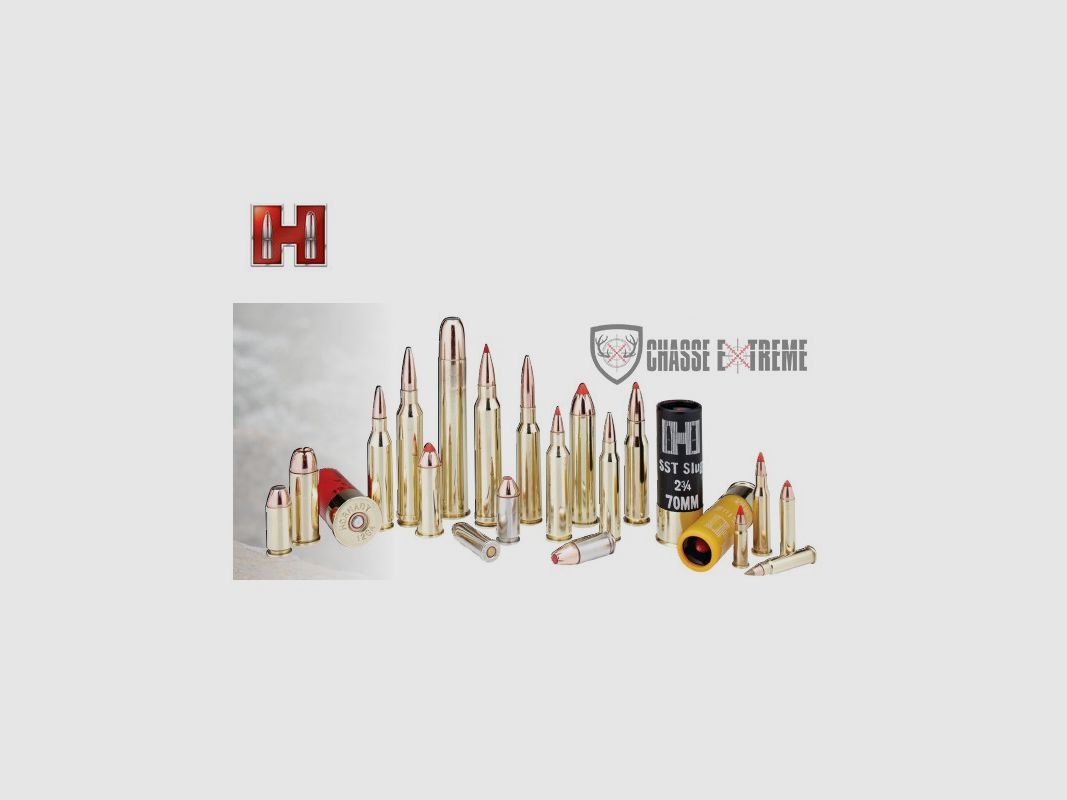 25 Patronen HORNADY Critical Defense 380 Auto 90 Gr Ftx, Bild 1 von 3