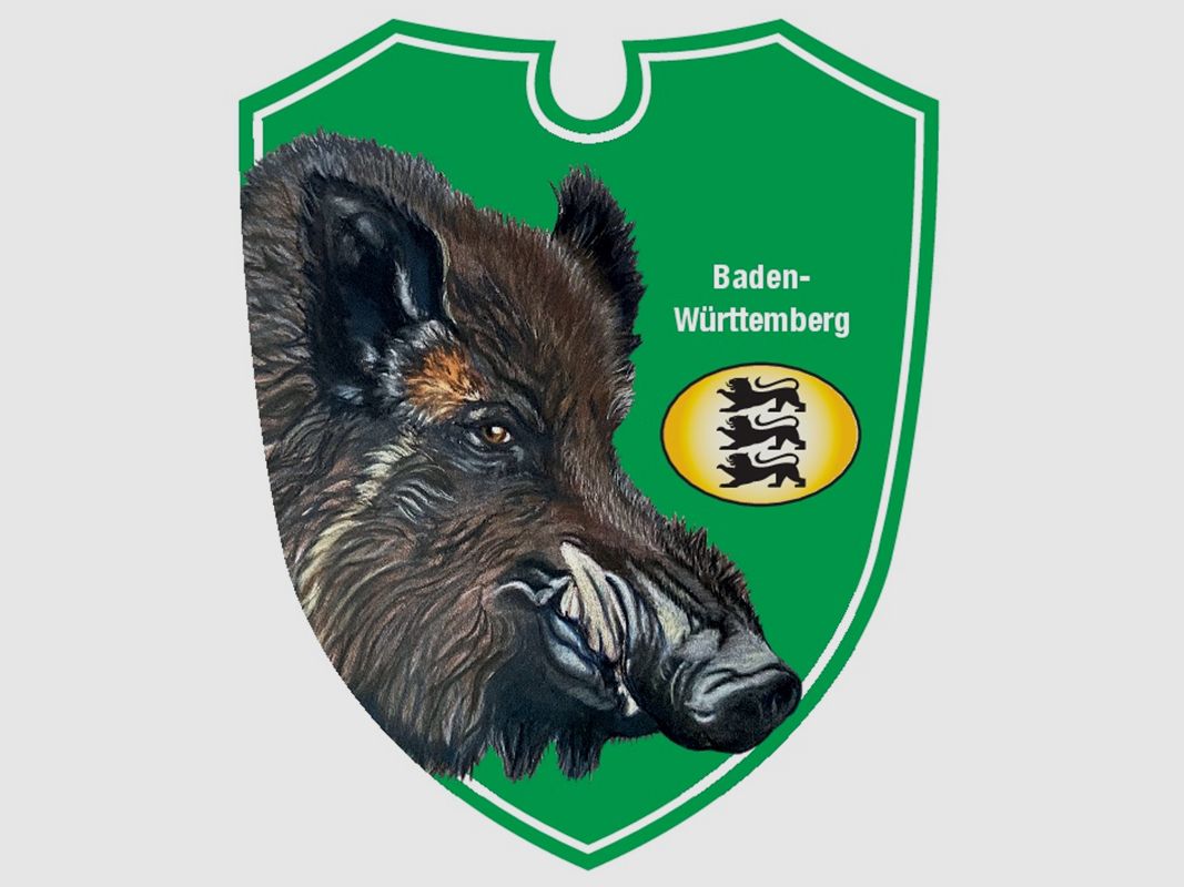 Panneaux de chasse auto à double optique blason d'état