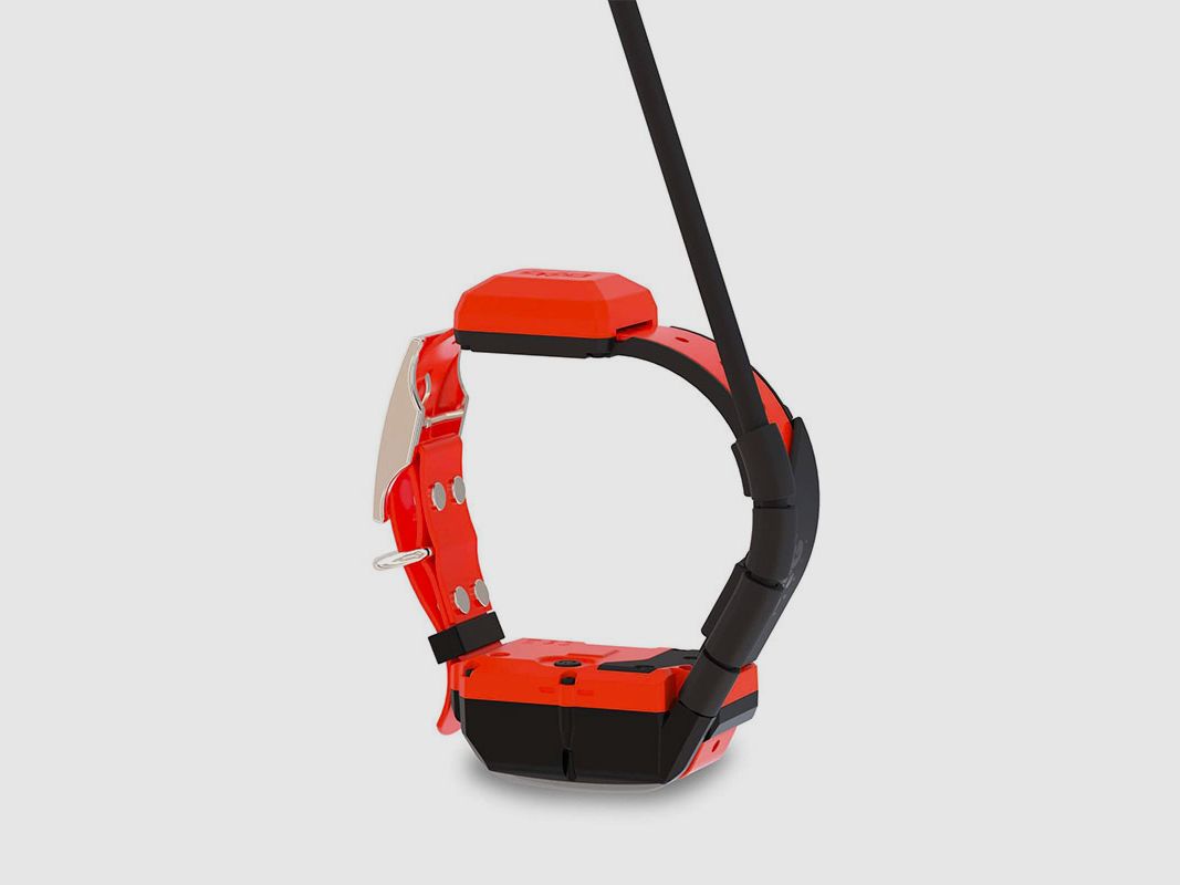 DOG TRACE – GPS X40 | ADDITIONAL COLLAR, image 1 of 12