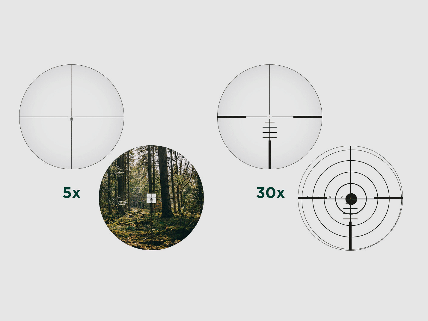 ALPEN Optics APEX XP 5–30×56 BDC