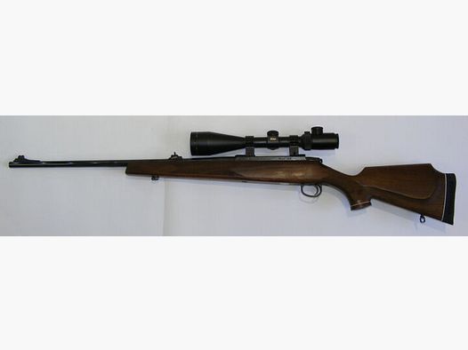 Lakelander Mod 389