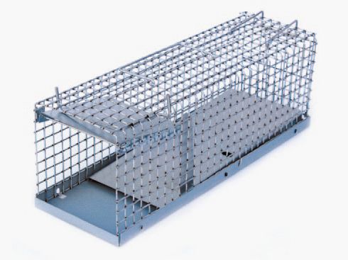 Grid trap for rats