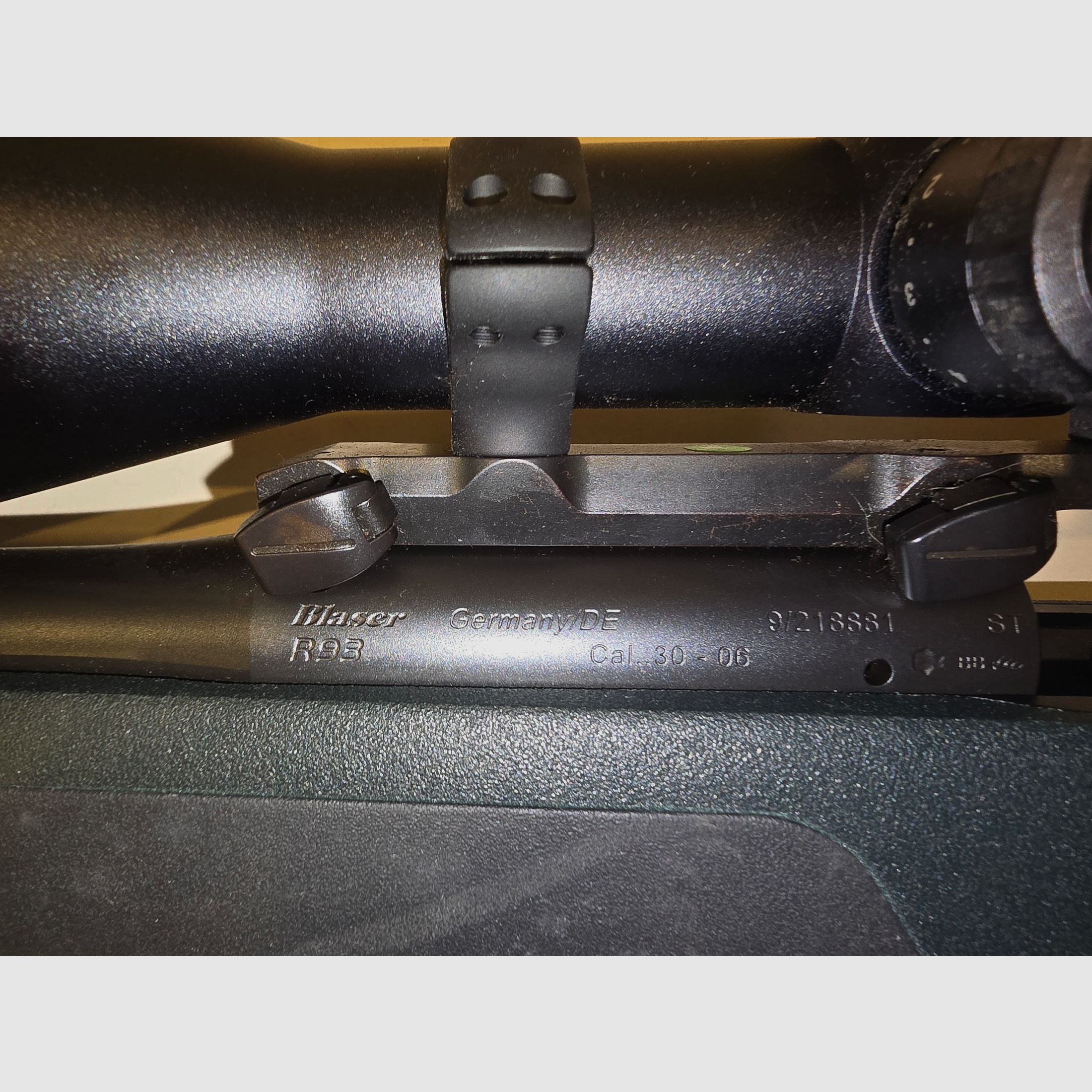 Blaser R93 Professional Success im Kaliber .30-06 mit Meopta "Meostar R1r 3-12 x 56"