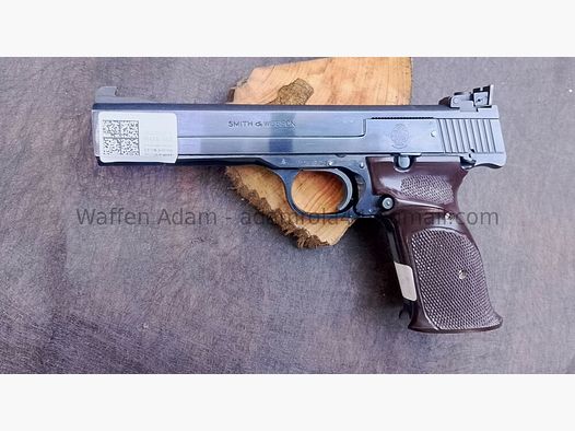 Smith & Wesson Model 41 Sport 1965