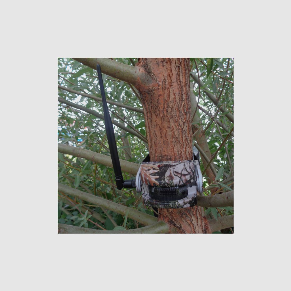 Bearstep      Bearstep Bewegungsmelder Gamewatch 2+1  Bearstep             3,67 | 3 Bewertungen    Bearstep      Bearstep Bewegungsmelder Gamewatch 2+1  Bearstep             3,67 | 3 Bewertungen
