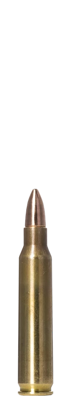 Norma Range & Training FMJ geweermunitie cal. .223 Rem. 3,56 g / 55 gr, afbeelding 2 van 2