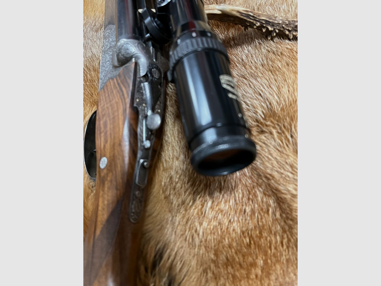 Krieghoff Waldschütz
